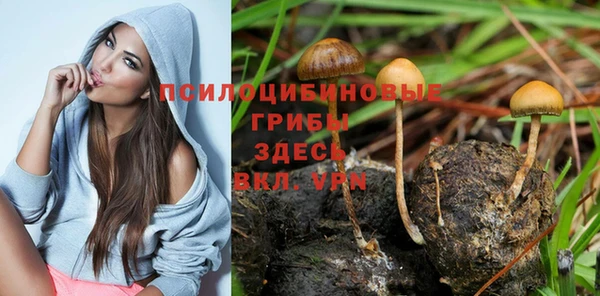 бошки Баксан