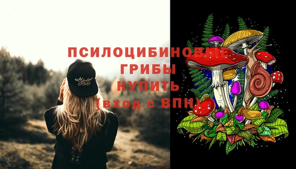 бошки Баксан