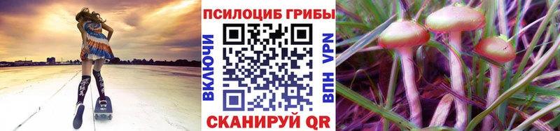Галлюциногенные грибы мицелий  mega tor  Южно-Сахалинск  купить наркоту 